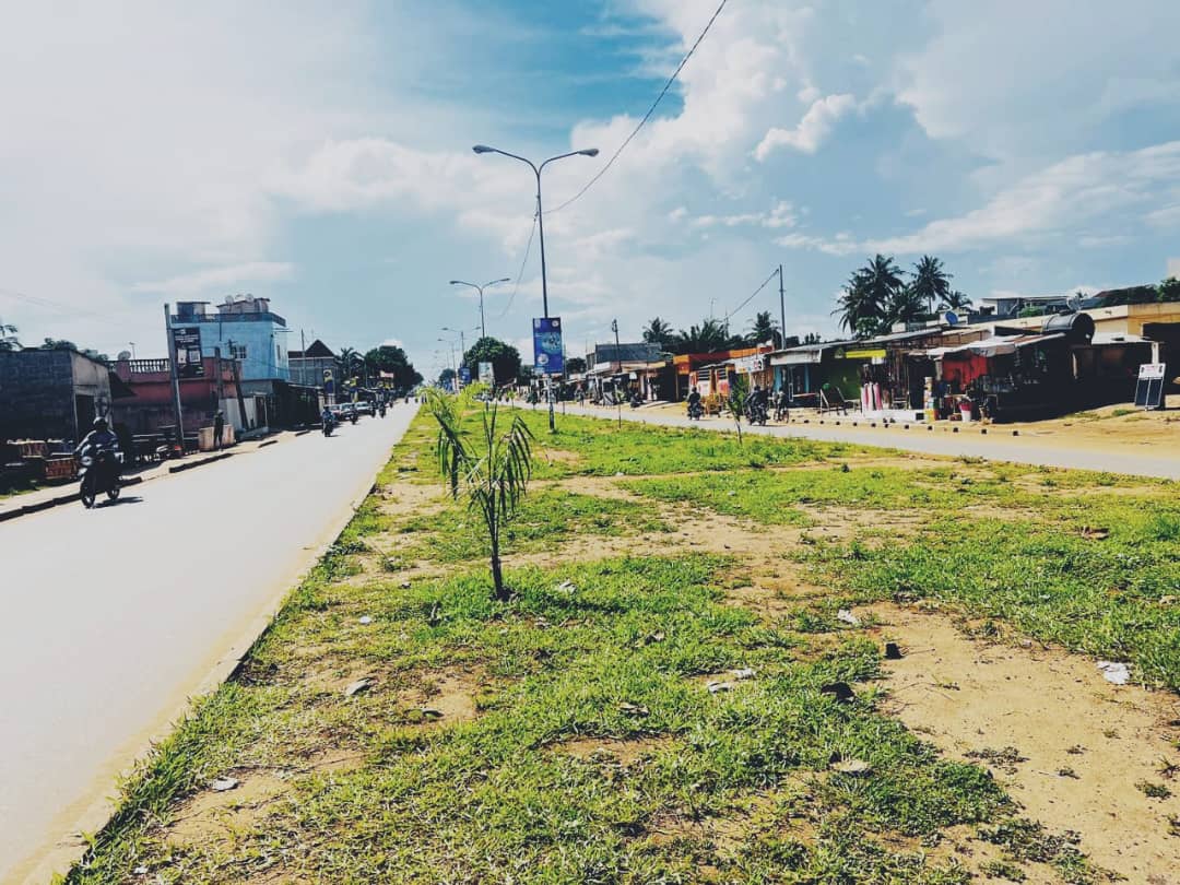 Terrain 1 lot en vente en angle de rue au bord du goudron à Togo 2000 – 90 millions FCFA