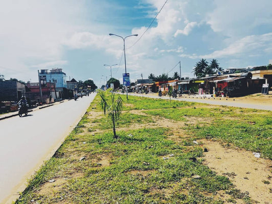 Terrain 1 lot en vente en angle de rue au bord du goudron à Togo 2000 – 90 millions FCFA