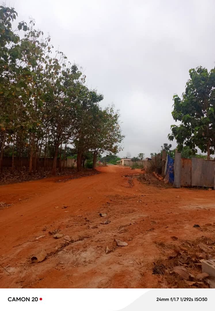 Terrain à vendre à Zanguera – 17 Millions FCFA le lot