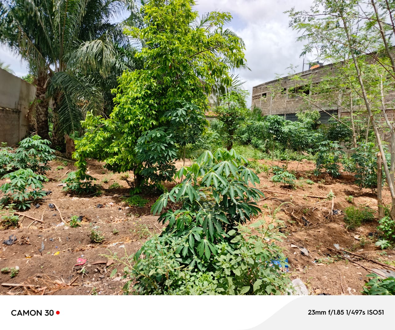 Terrain d'un lot en vente à Avédji – 32 millions FCFA