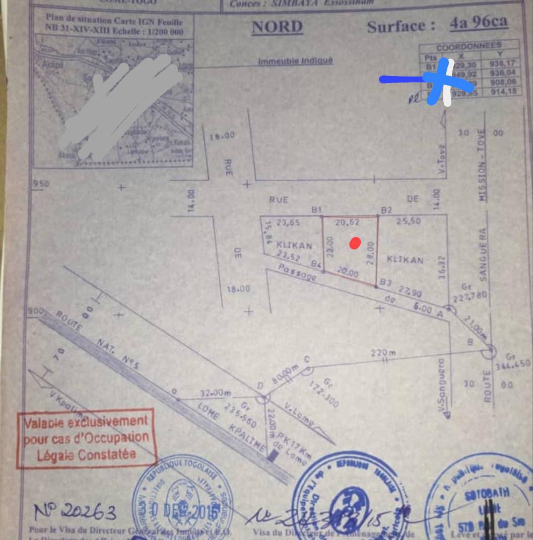Terrain de 496 m² en vente à Zanguera – 22 millions FCFA