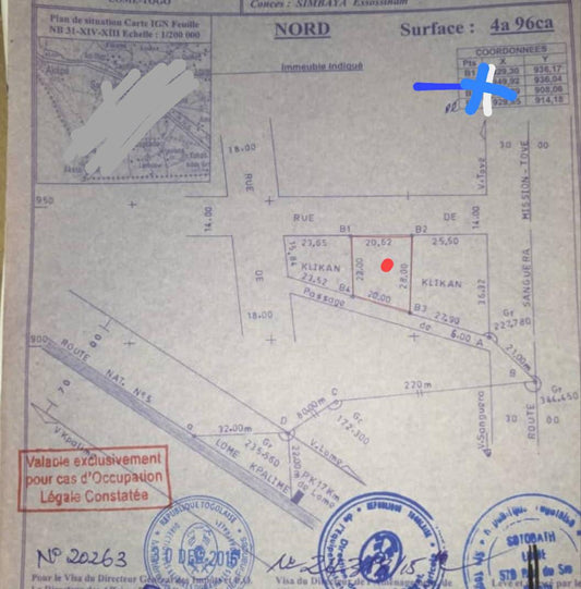 Terrain de 496 m² en vente à Zanguera – 22 millions FCFA