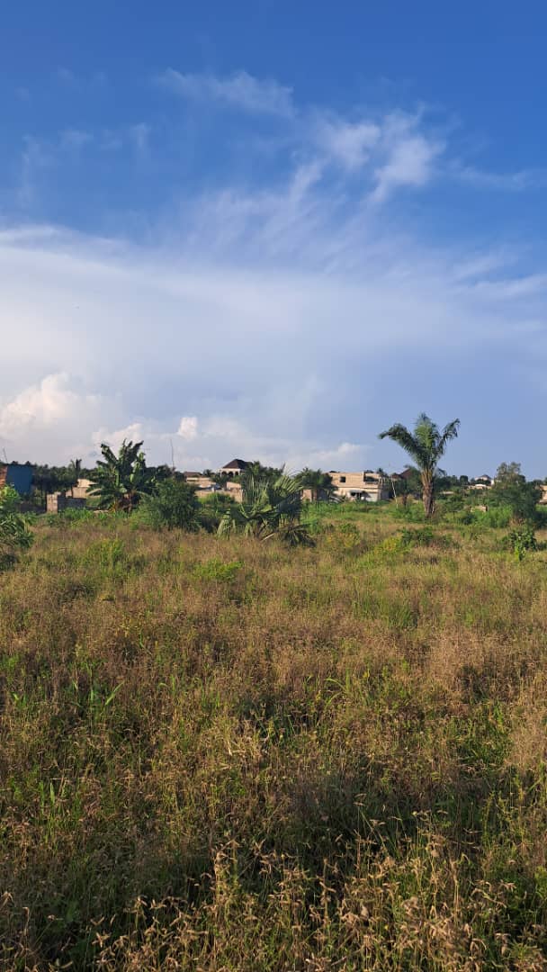 Terrain de 20 lots en vente à Adétikopé Kpotavé – 13 millions FCFA