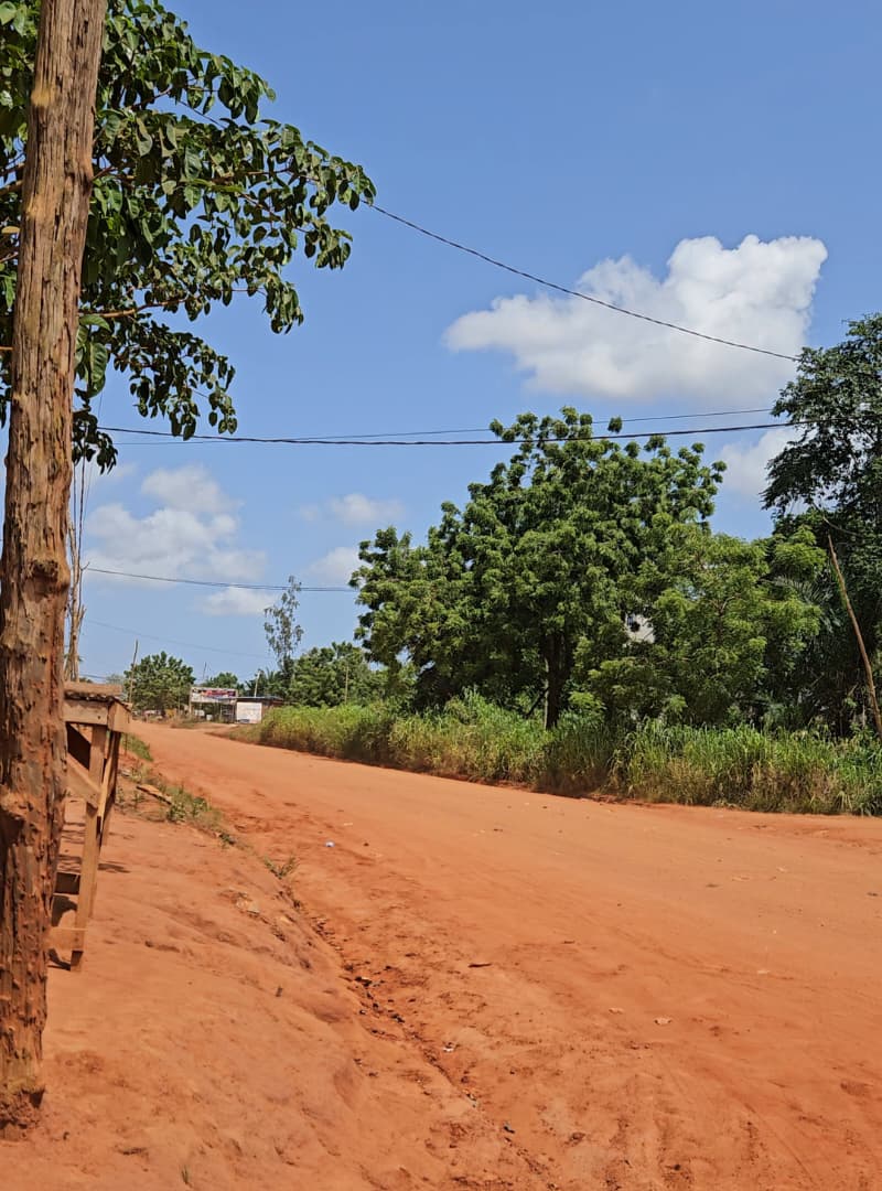 Terrain de 384 m² en vente en bordure de goudron à Apéssito – 18.000.000 FCFA