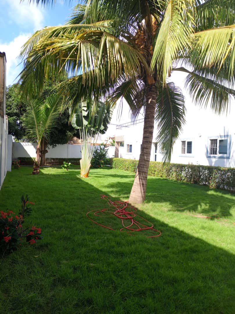 Appartement meublé 3 chambres en location à Adidogomé Wonyome – 600 000 FCFA/mois