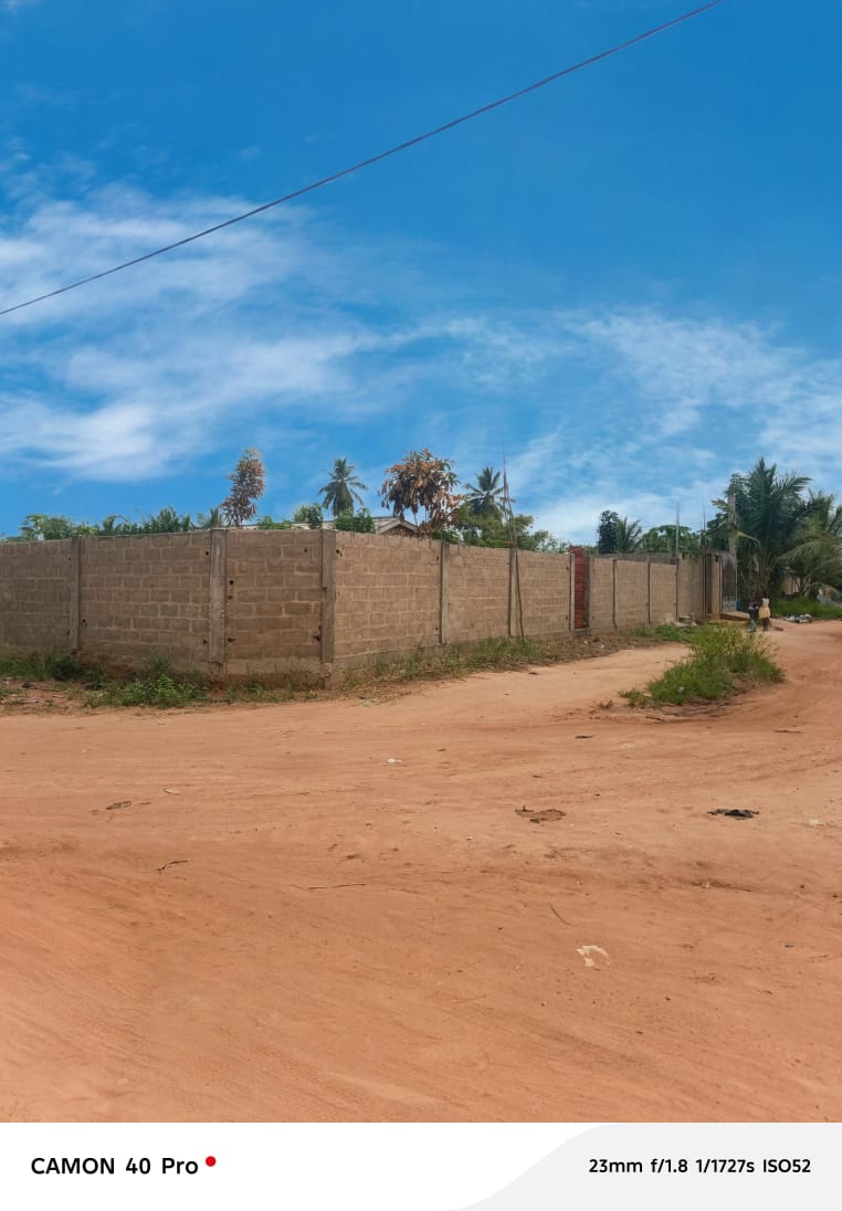 Terrain de 1 lot en vente à Zanguera Digbé – 17 millions FCFA