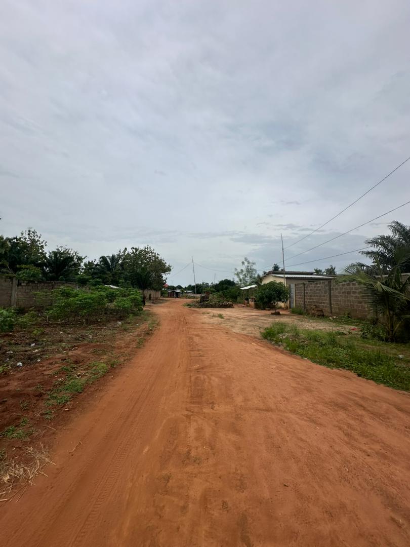 4 lots de terrain en vente à Zanguera-Aképé – 20 millions FCFA le lot