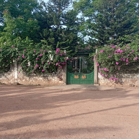 Hôtel à vendre à Kpalimé – 200 Millions FCFA