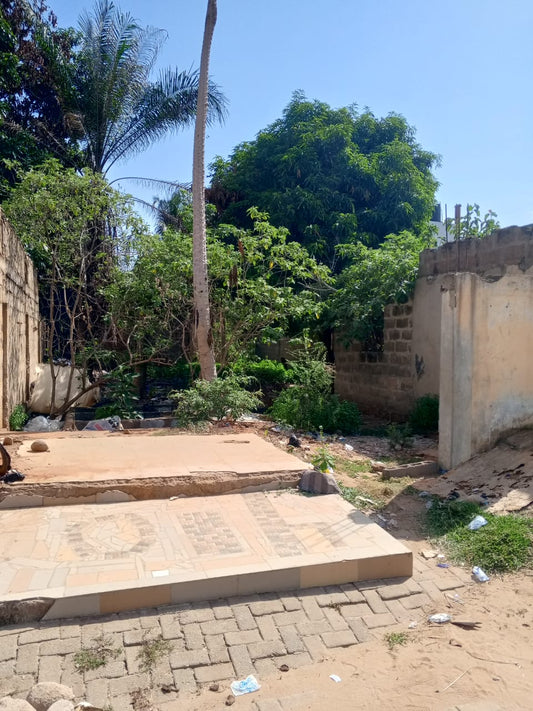 Terrain de 300 m² en vente en bord du goudron à Adroukpape – 65 millions FCFA