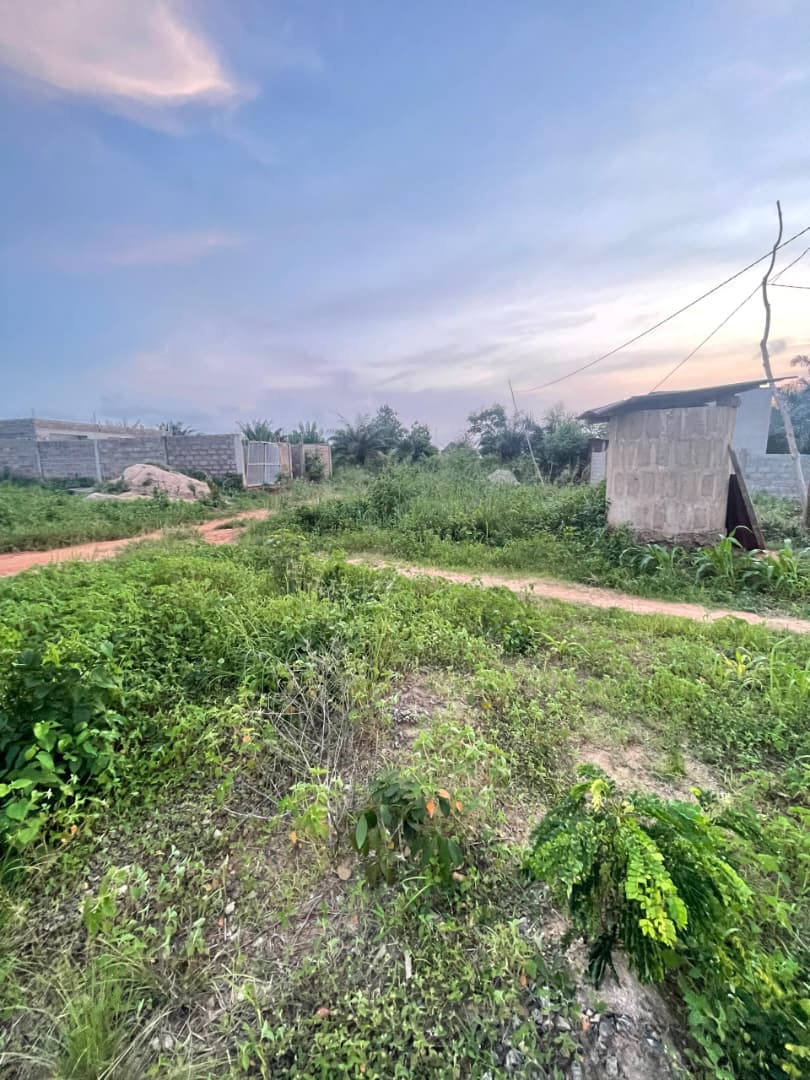 Terrain de 300 m² en vente à Noépé – 6.500.000 FCFA