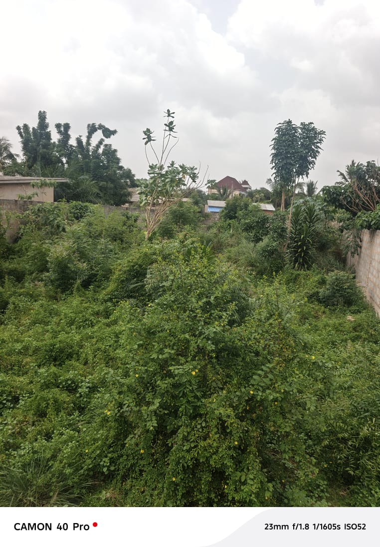 Terrain 1 lot en vente à Agoè Vakpossito – 30 millions FCFA