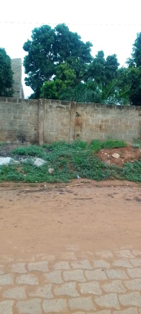 Terrain d'un demi lot en vente à Agoé Sogbossito à 100 m du goudron – 15 millions FCFA