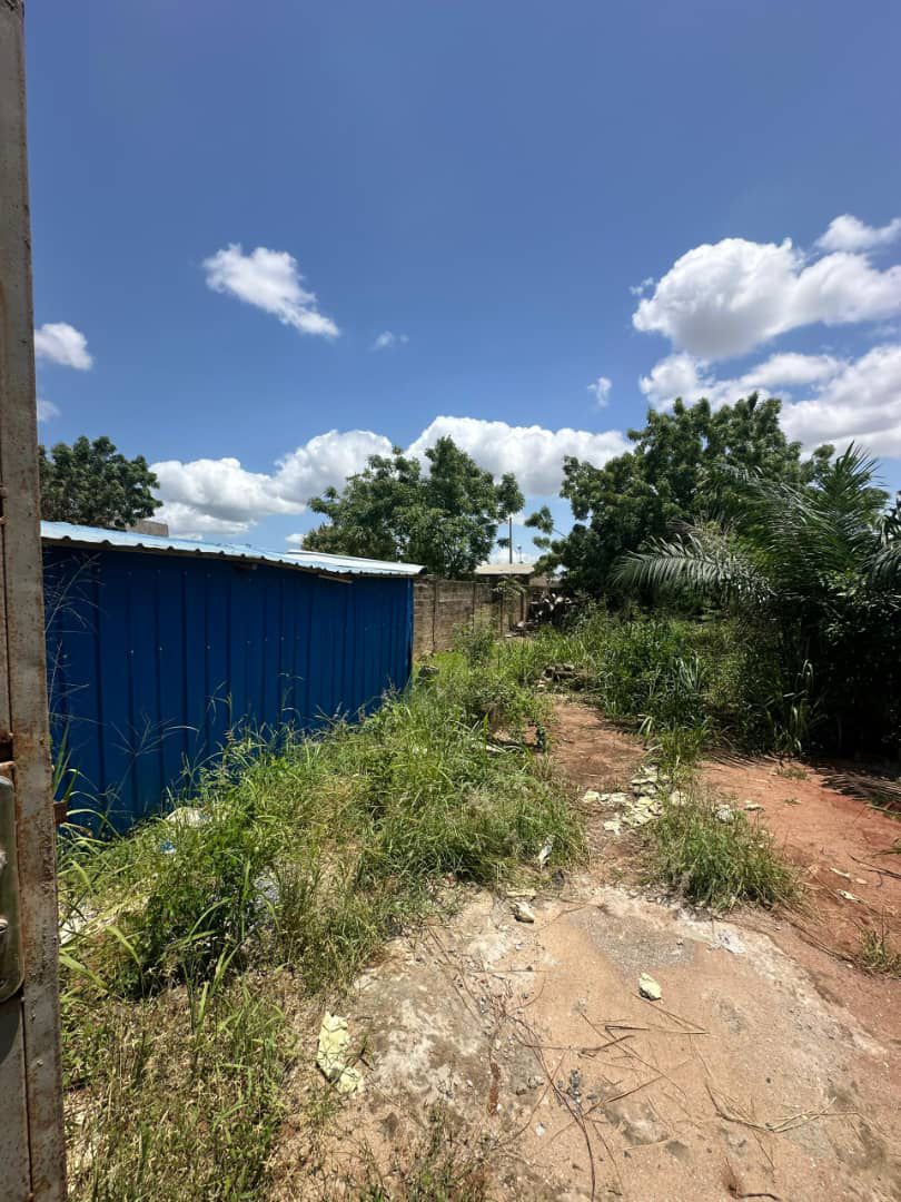Terrain d'un demi-lot clôturé en vente à Sanguera IPG – 15 millions FCFA