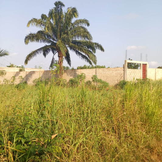 Terrain à vendre à Apessito Avenyakè – 3 millions FCFA
