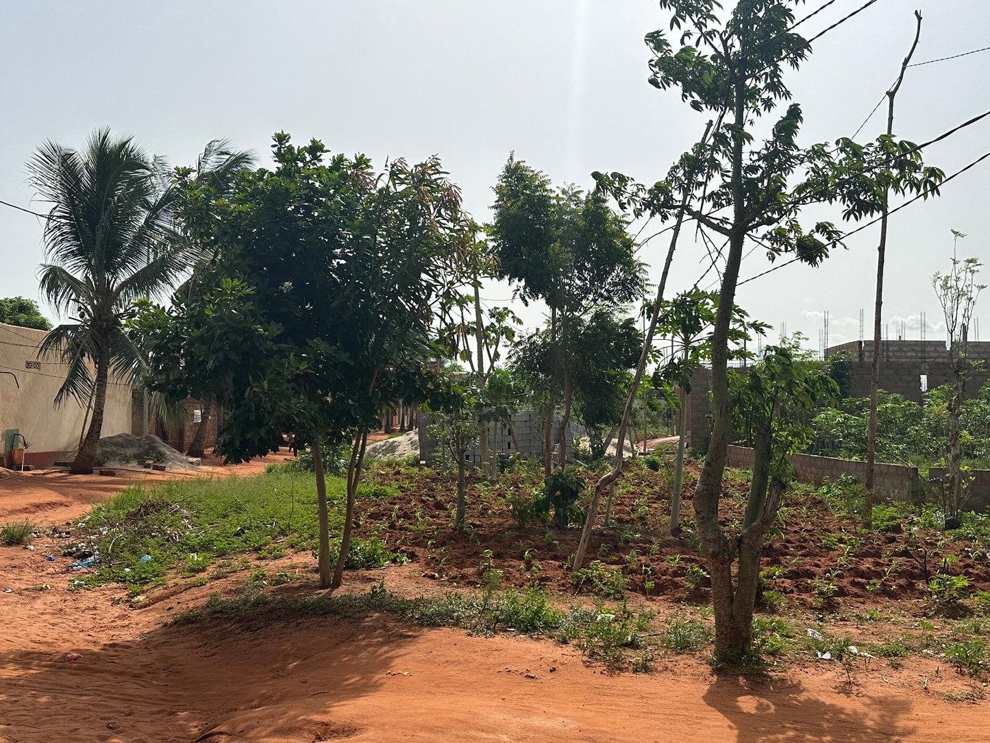Terrain de 4200 m² (7 lots) en vente à Djagblé Abolavé – Prix à partir de 8 millions FCFA