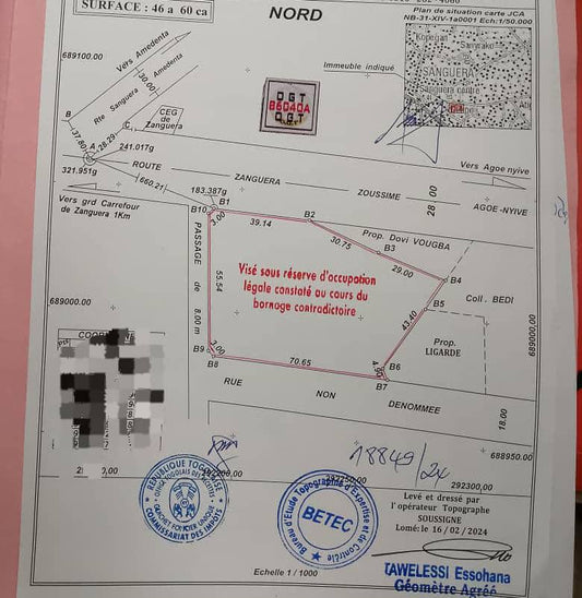 Terrain de 10 lots en vente à Zanguéra – 550 millions FCFA