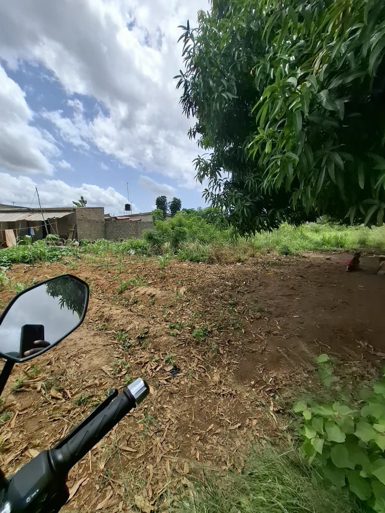 Terrain nu en vente à Sanguéra près du commissariat Wogomé – 4,5 millions FCFA