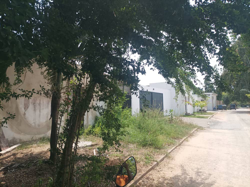 Terrain 1/2 lot à vendre à Cité OUA (Caisse) – 150 millions FCFA