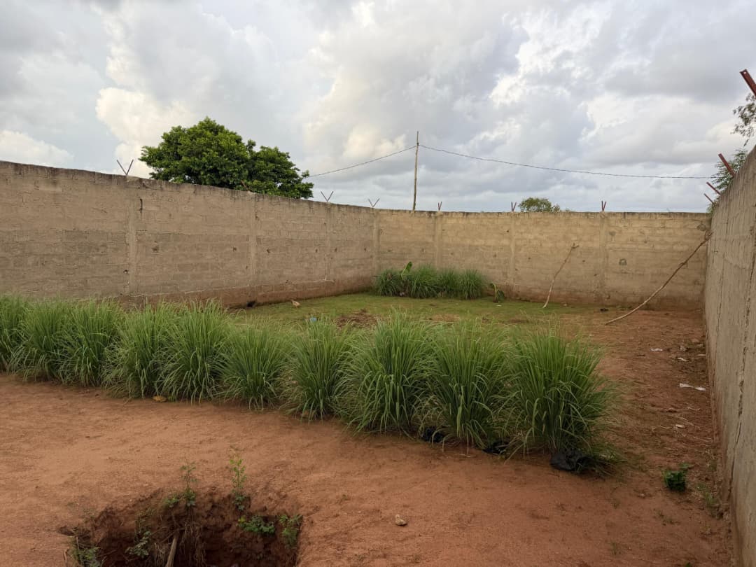Terrain d'un quart de lot clôturé à vendre à Aképé – 5 000 000 FCFA