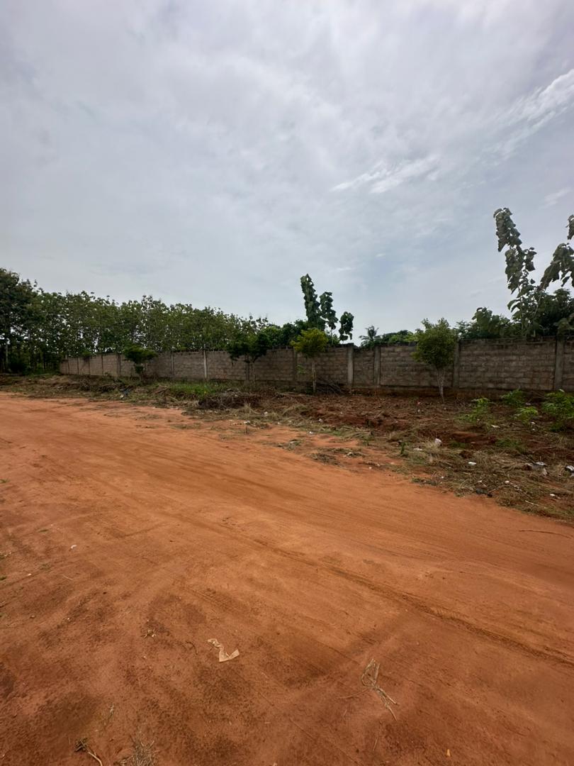4 lots en vente à Zanguera-Aképé – 20 millions FCFA le lot