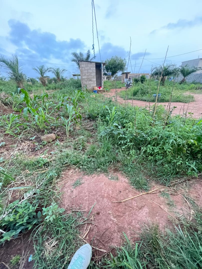 Terrain de 300 m² en vente à Noépé – 6.500.000 FCFA