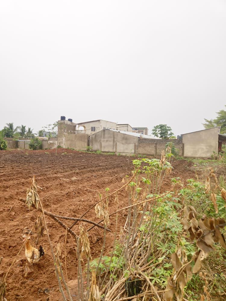 Terrain 1 lot en vente à Agoè Legbassito Madjikpéto – 20 millions FCFA