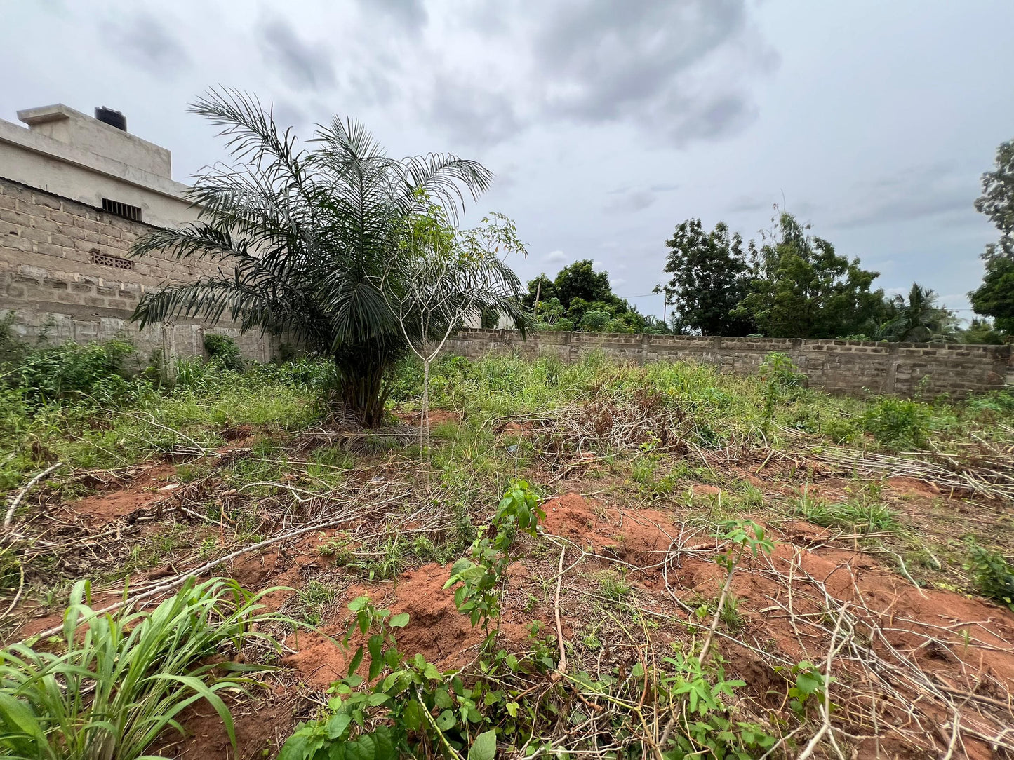 Terrain de 515 m² en vente à Zanguéra Ars – 25 millions FCFA