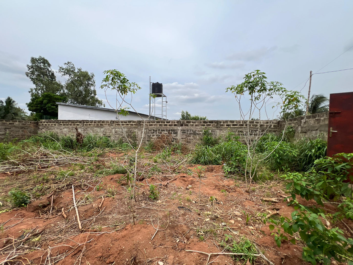 Terrain de 515 m² en vente à Zanguéra Ars – 25 millions FCFA