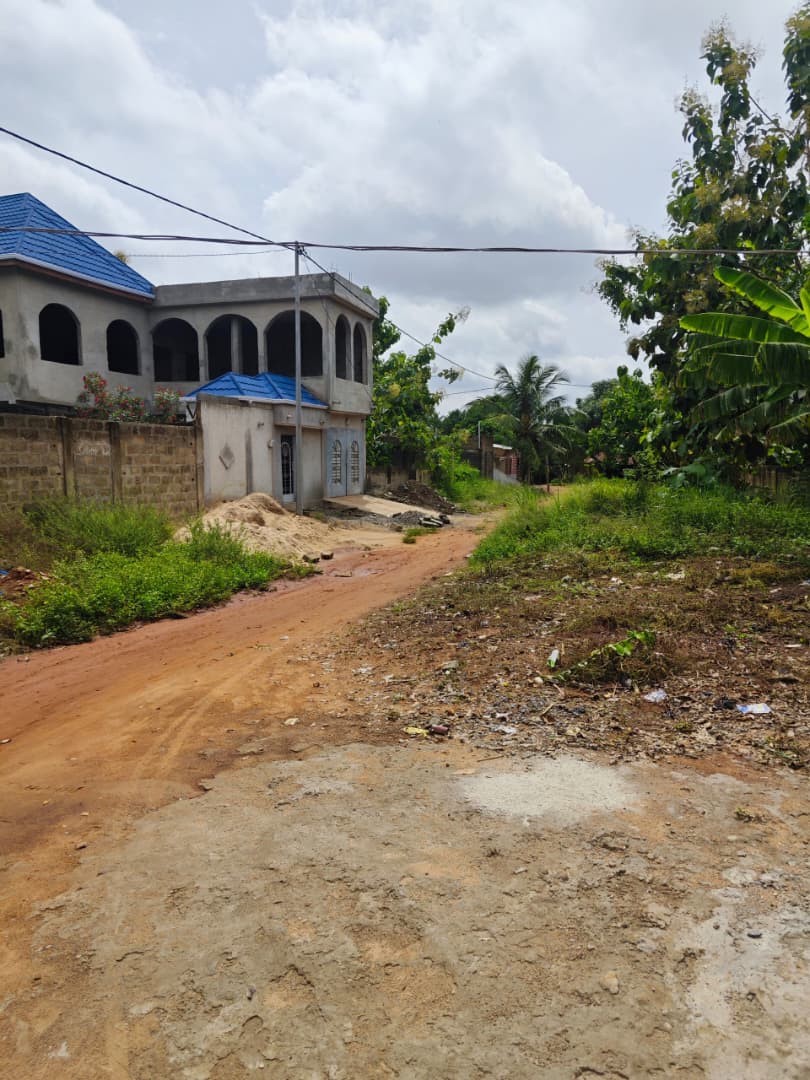 Terrain de 1200 m² en vente à Zanguera Klémé - 20 millions FCFA le lot