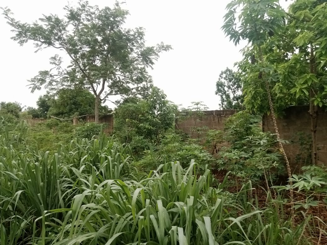 Terrain 11 lots en vente à Adidomé – 7 500 000 FCFA le lot