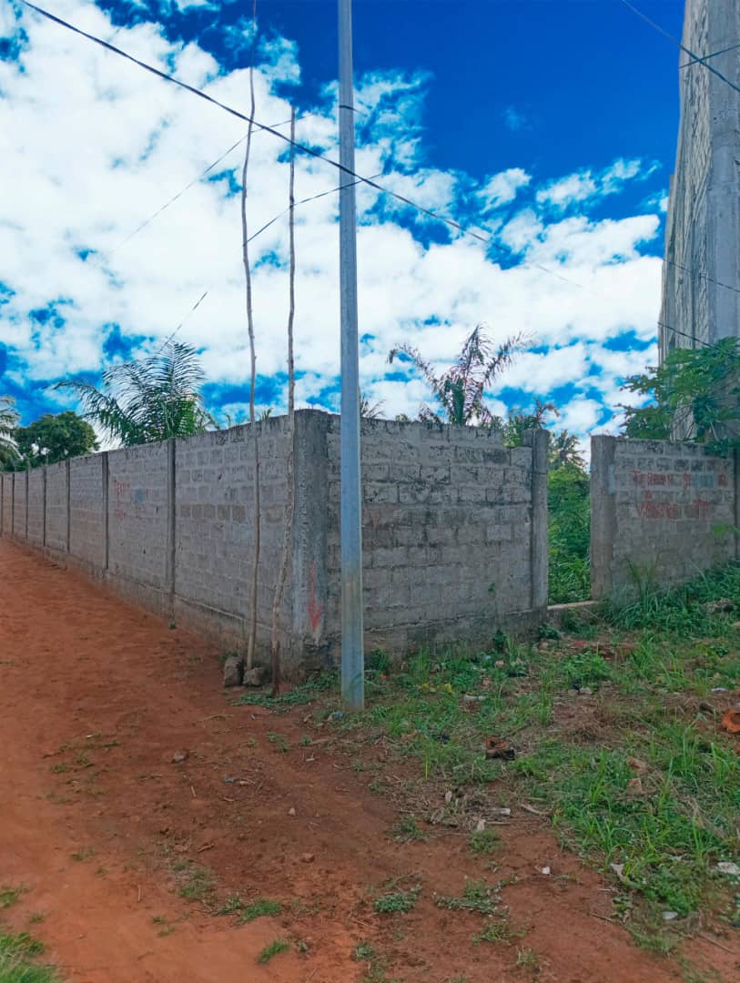 Terrain de 600 m² en vente à Zanguera-Woungomé – 16 millions FCFA