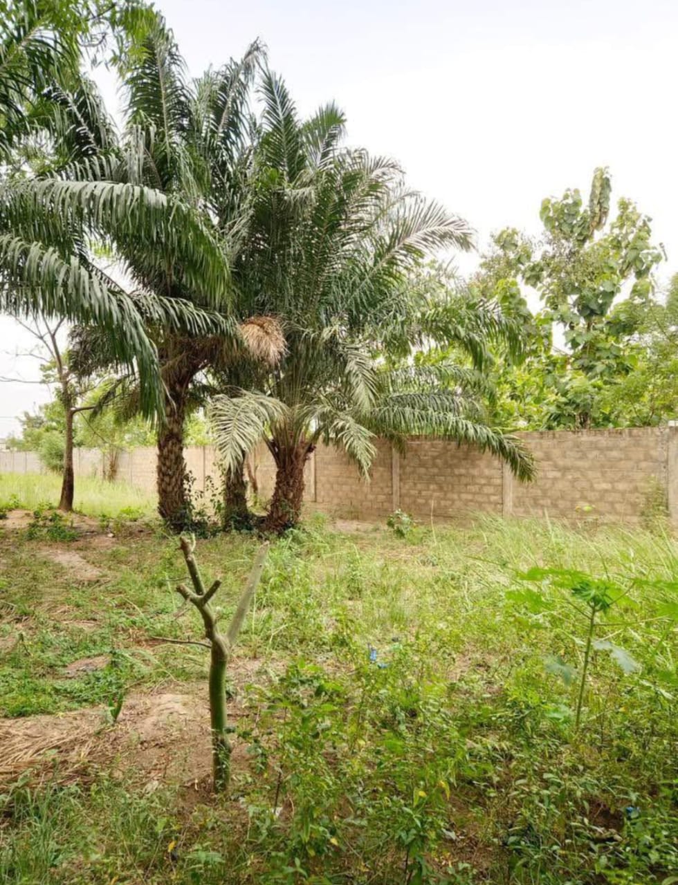 Terrain de 4 lots à vendre à Apéssito – 16 millions FCFA