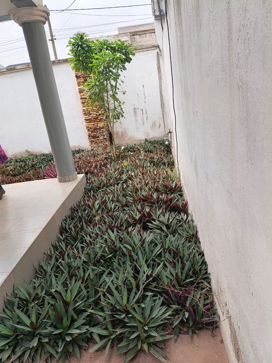 Villa 3 chambres en vente à Agoe Fil Ô Park – 100 millions FCFA