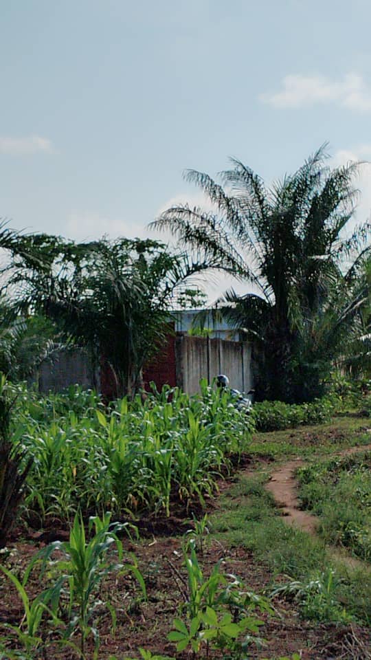 Terrain 1 lot avec titre foncier global en vente à Aképé – 10 millions FCFA