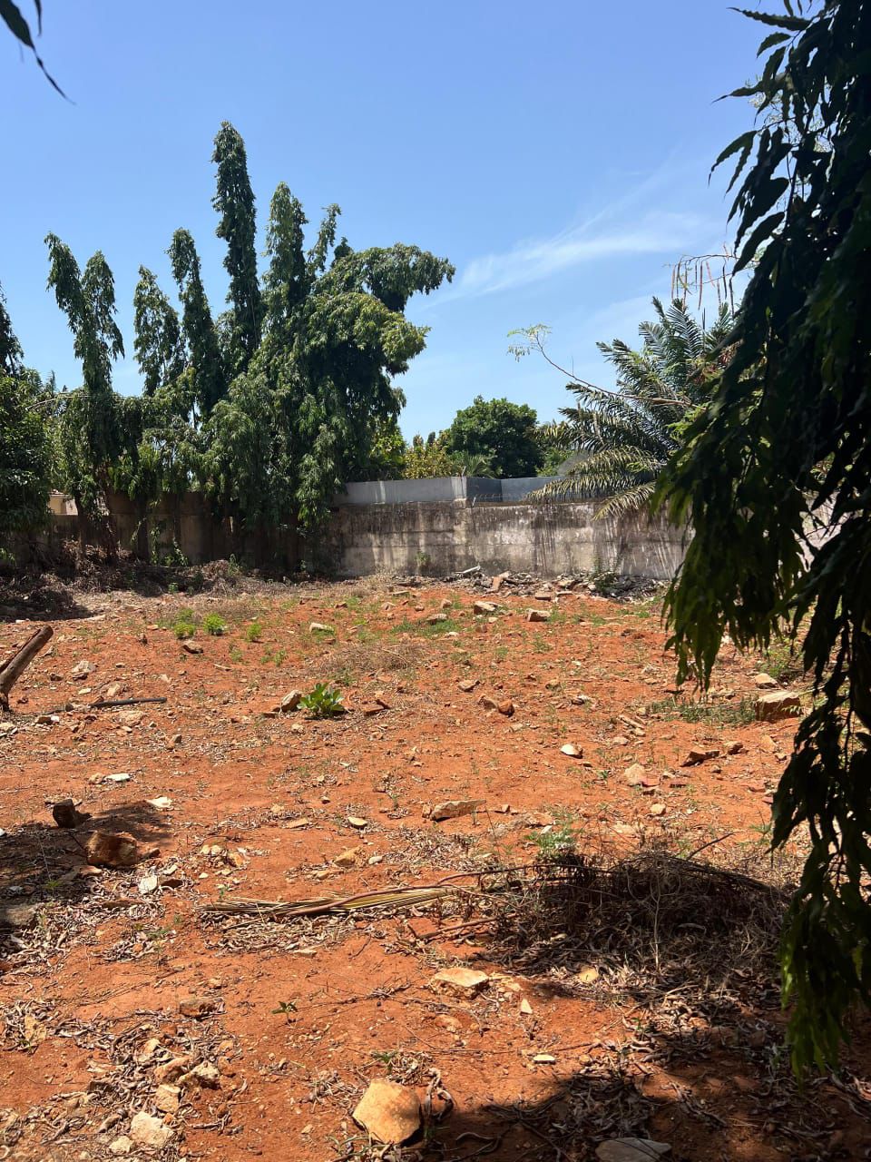 Terrain de 683 m² en vente à la Caisse (Résidence du Bénin) – 350 millions FCFA