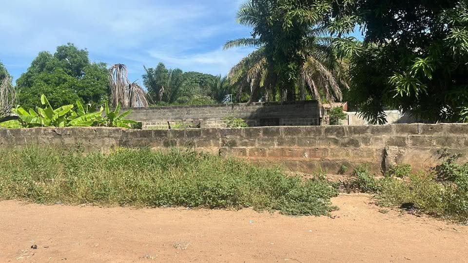 2 lots collés en angle de rues en vente à Tokoin Colombe de la Paix – 85 millions FCFA le lot