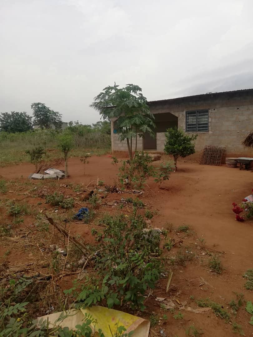 Terrain 1 lot en vente à Kpala – 8 500 000 FCFA