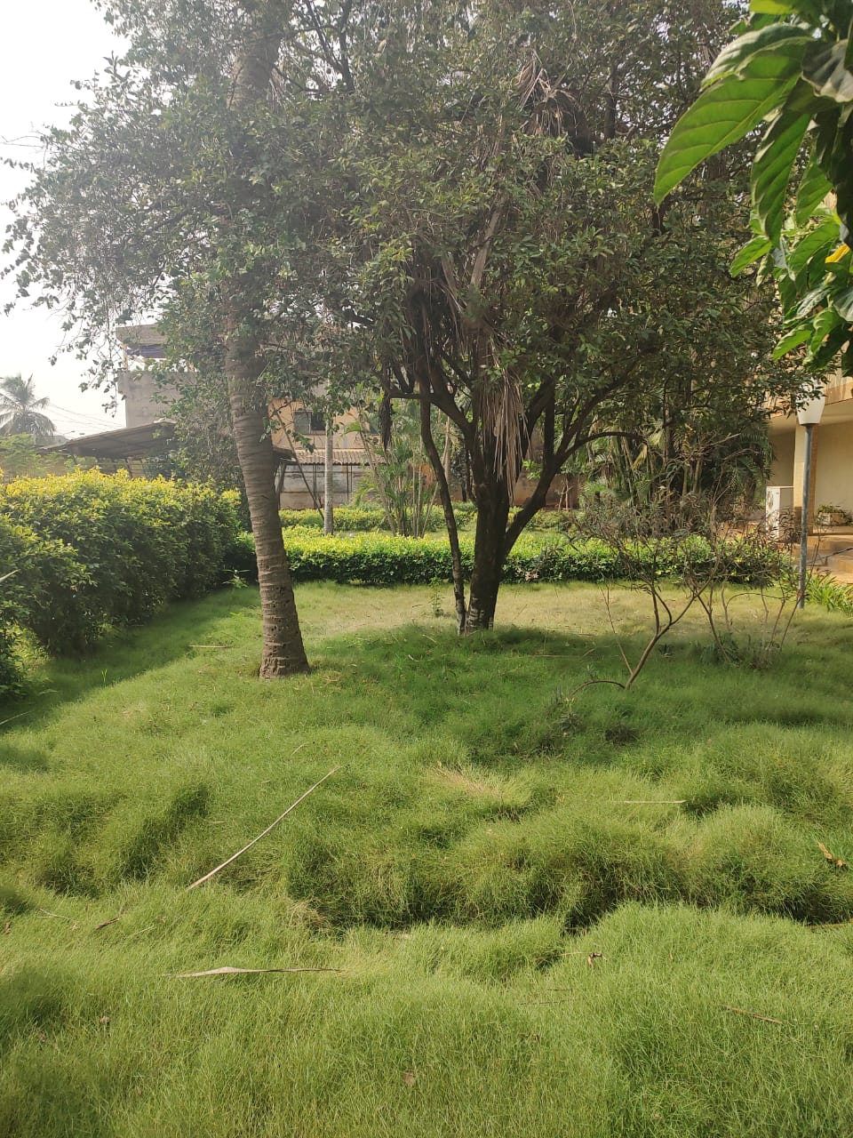 Villa à vendre à Novissi – 1,5 milliards FCFA