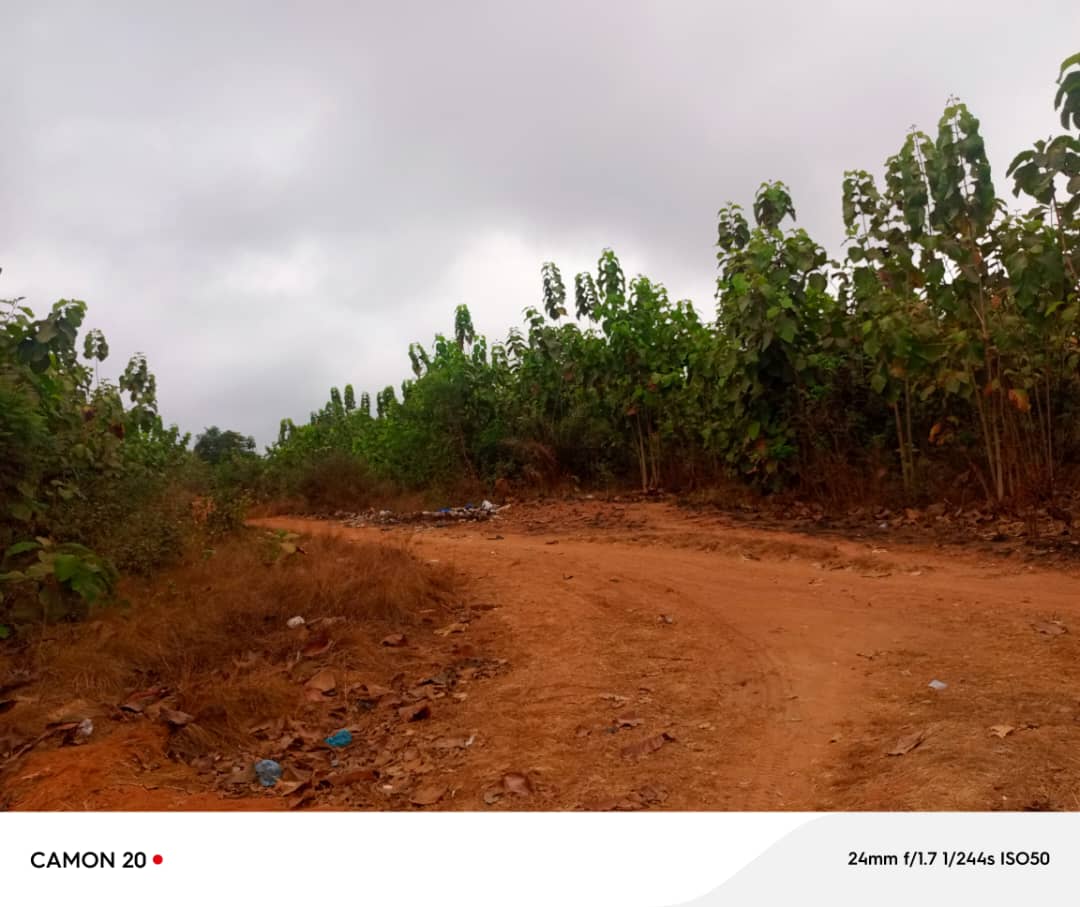 Terrain à vendre à Zanguéra – 17 Millions FCFA