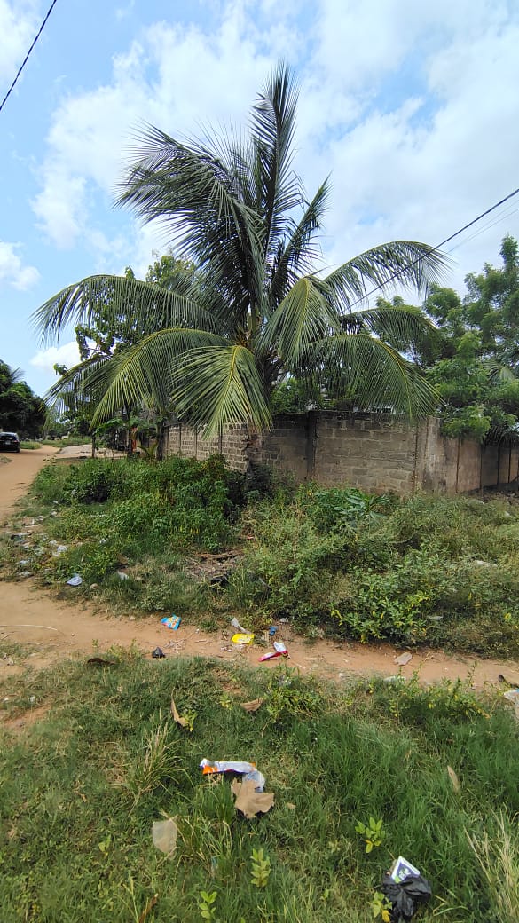 Terrain 1 lot en vente à Adidogomé – 27 millions FCFA