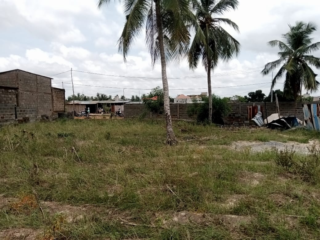 Terrain de 600 m² en vente en bordure de goudron à Agoè Legbassito – 45 millions FCFA