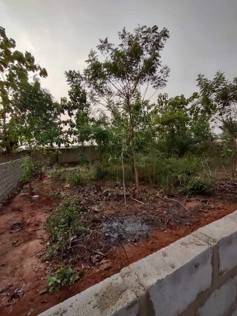 Terrain de 600 m² (1 lot) en vente à Aképé – 25 millions FCFA