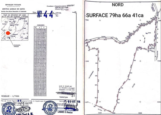 Terrain de 79,50 hectares en vente à Amouzoukopé Bakpo – 2 millions FCFA l'unité