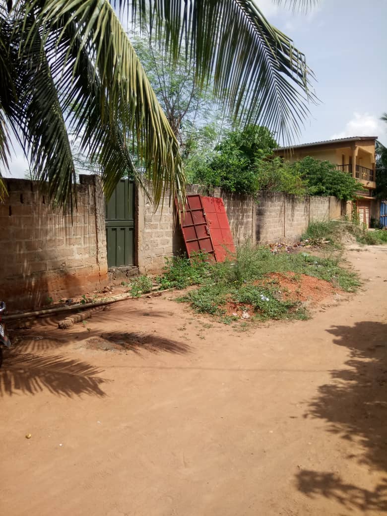 Terrain de 2 lots en vente à Adidogomé Gbomamé - 25 millions FCFA le lot