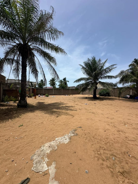 Terrain de 600 m² en vente à Avepozo près de l'école Vic Intelligenci – 30 millions FCFA
