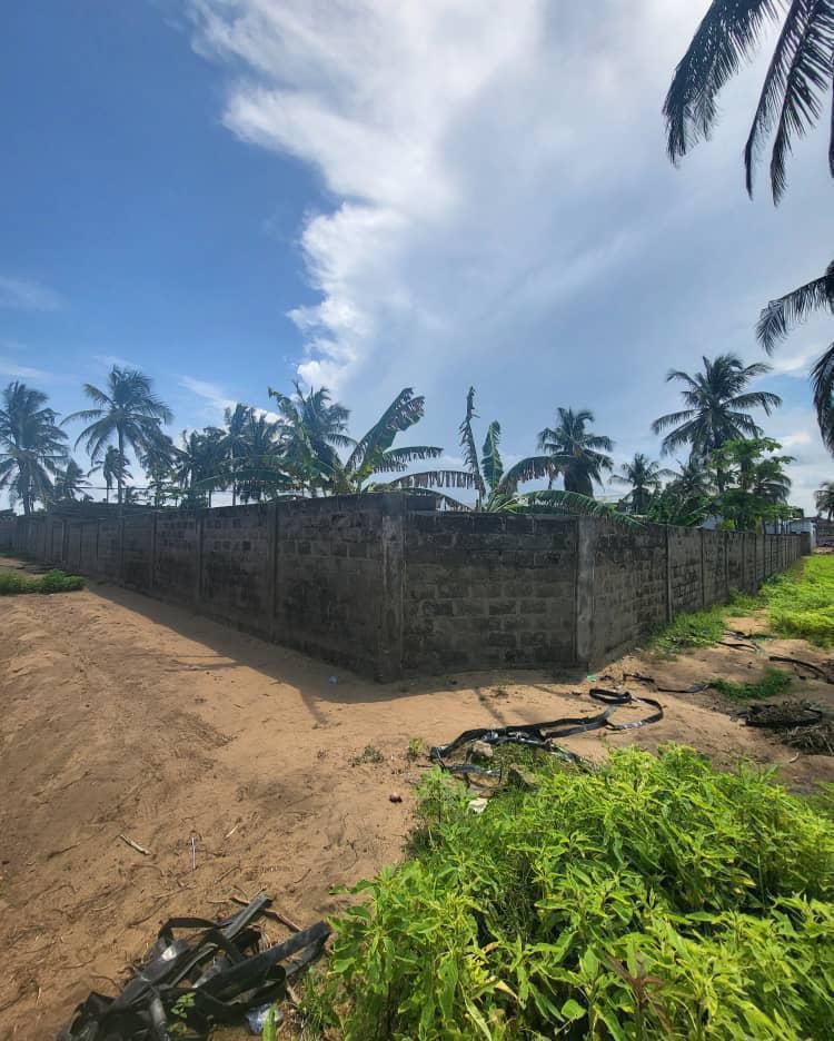 Terrain de 4 lots et 1/4 en vente à Kpogan Agodeke – 25 millions FCFA le lot