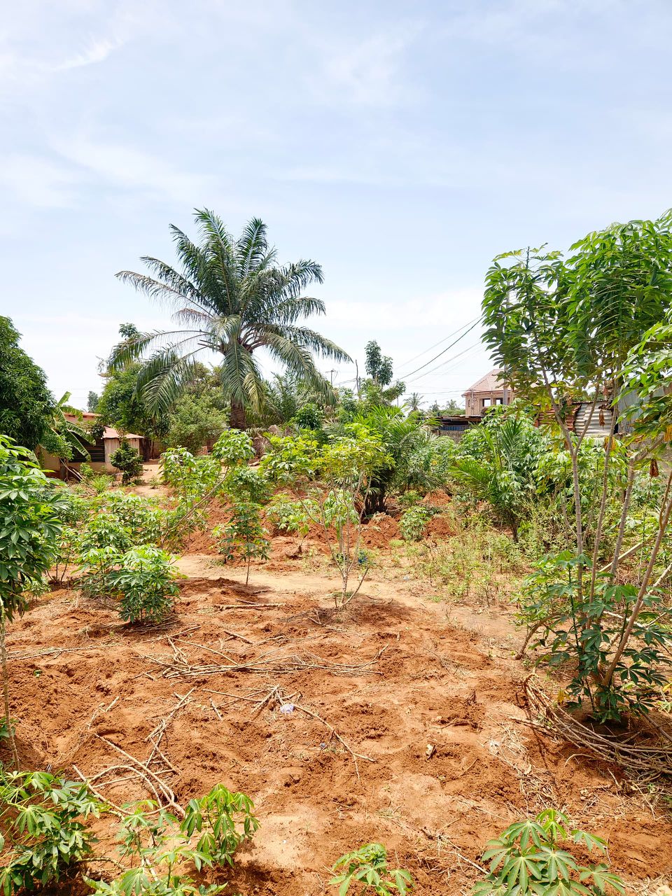 Terrain de 680 m² en vente à Adidogomé Apédokoè – 35 millions FCFA