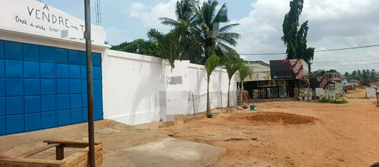 Terrain de 1 lot en vente en angle de rue à Adidogomé Yokoe – 55 millions FCFA