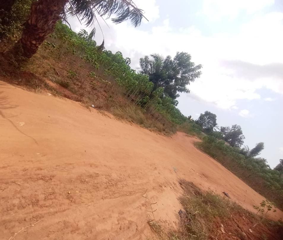 Terrain à vendre à Akato Viepé - 6 millions FCFA