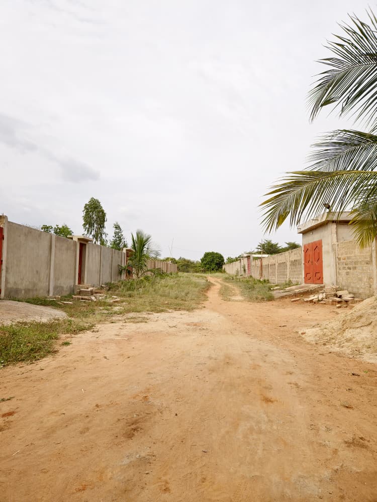 Terrain en vente à Noépé près du lycée Aképé–Noépé – 7,5 millions FCFA le lot